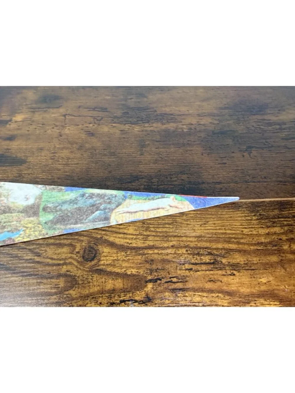 Vintage Aquarena Springs San Marcos Texas Souvenir Pennant 25 inches